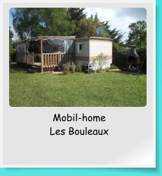Mobil-home  Les Bouleaux