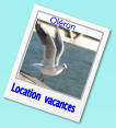 Location  vacances Oléron