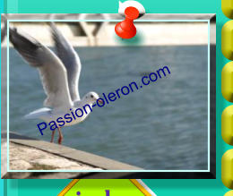Passion-oleron.com