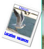 Location  vacances Oléron